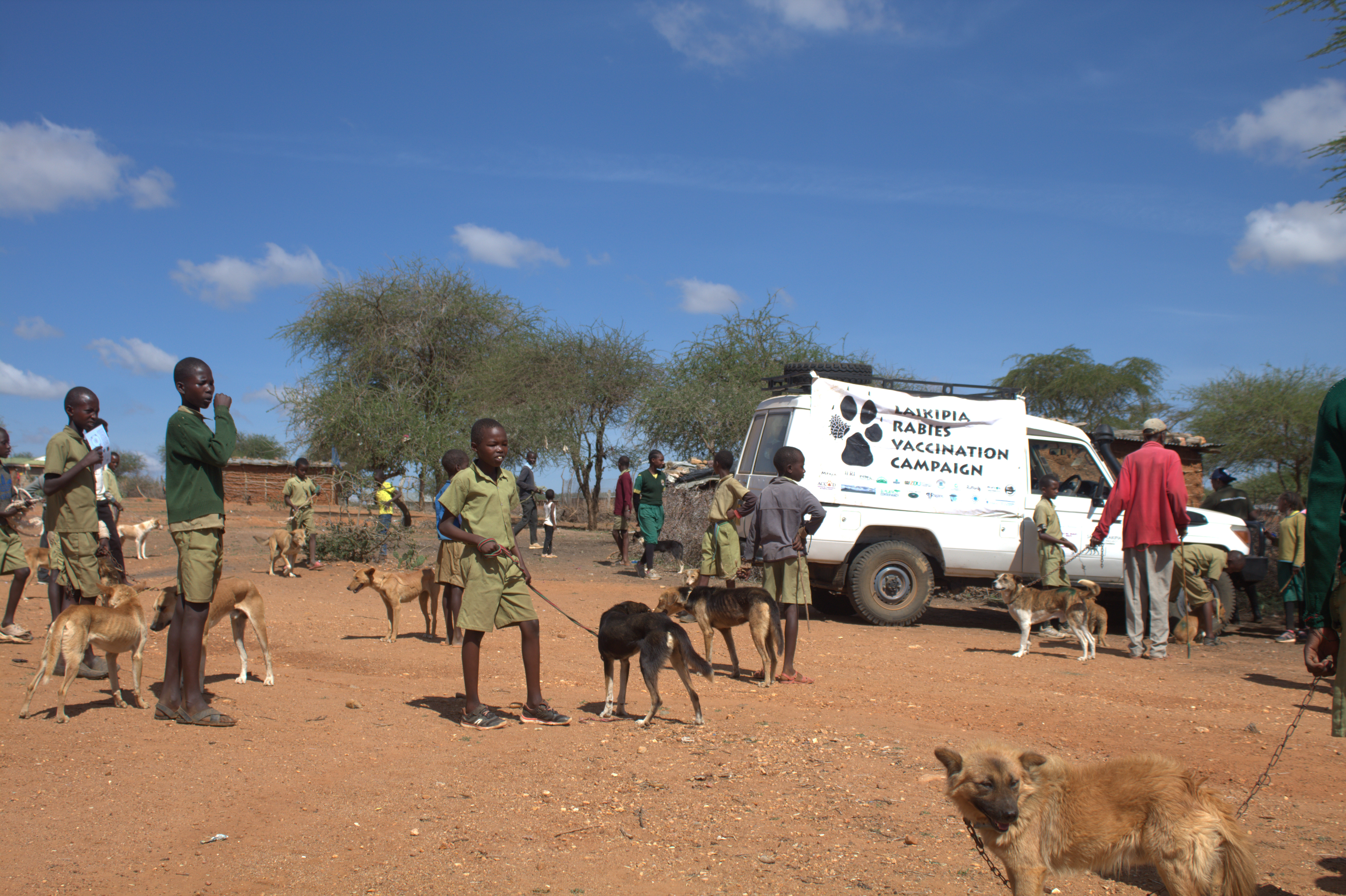 Laikipia Rabies Vaccination Campaign Image 1