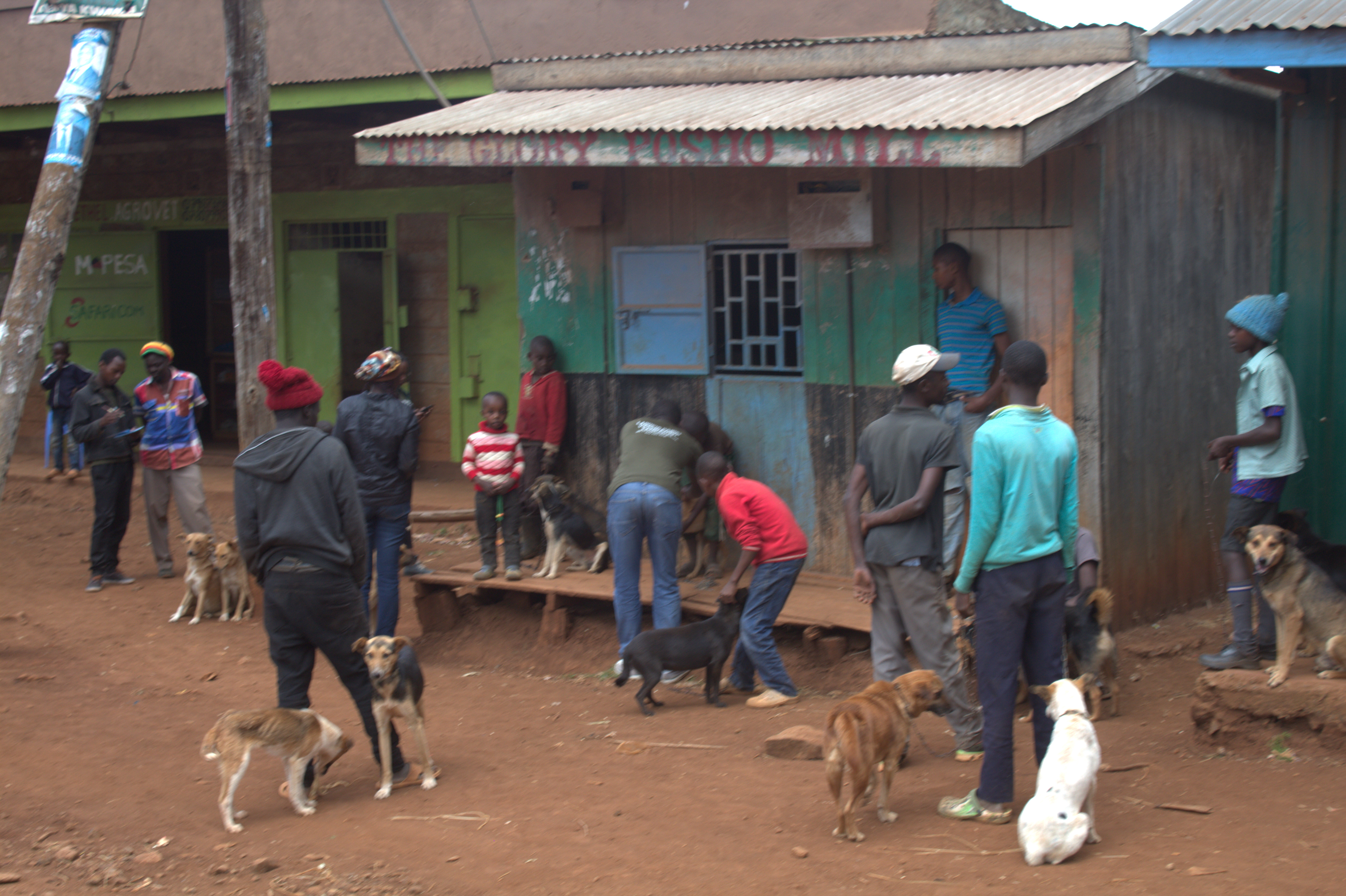 Laikipia Rabies Vaccination Campaign Image 10