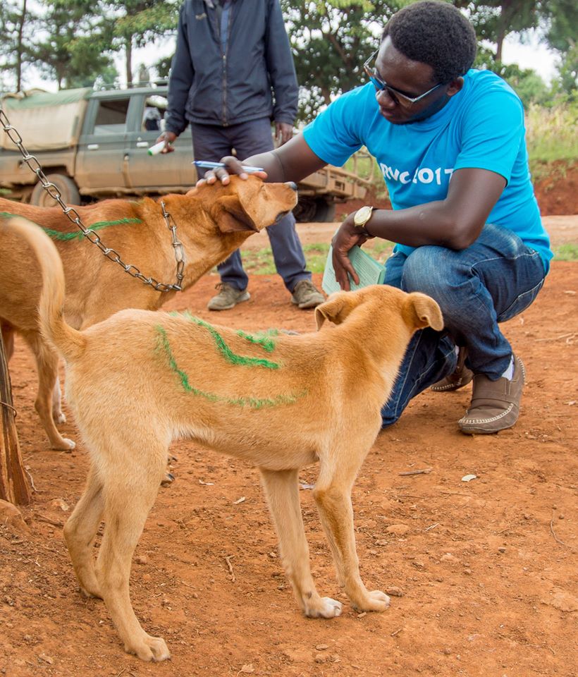 Laikipia Rabies Vaccination Campaign